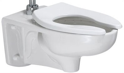 Afwall Dual Flush Elongated One-Piece Toilet by American Standard