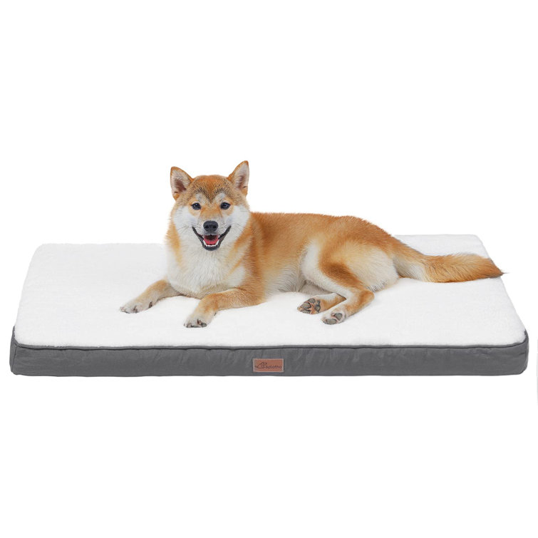 large dog mattress bed
