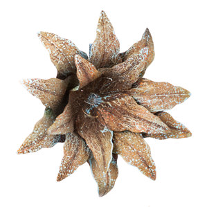 Metal Flowers Wall Decor porcelain flower wall decor | wayfair Metal Flowers Wall Decor porcelain flower wall decor | wayfair