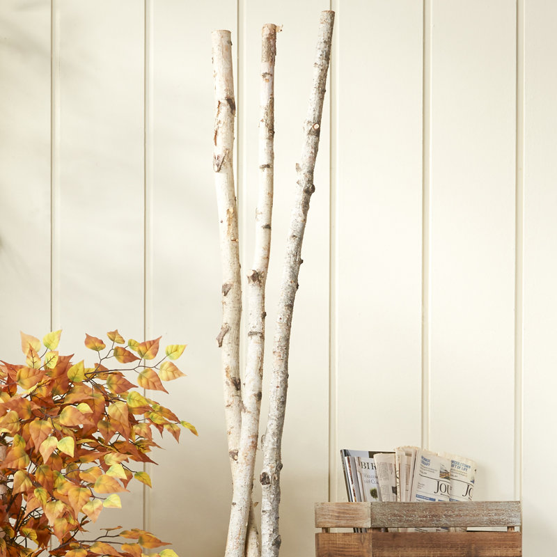 Decorative Birch Branches Wayfair Natural Birch Branch Decor Set Of 3