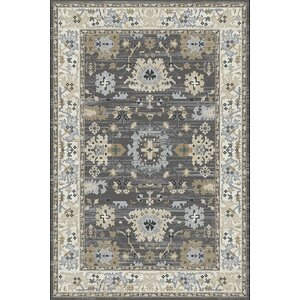 Mishawaka Gray/Beige Area Rug