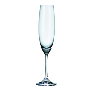 Barbara 8 Oz. Champagne Flute (Set of 6)