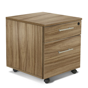 Pro X 2-Drawer Mobile Pedestal Vertical Filing Cabinet