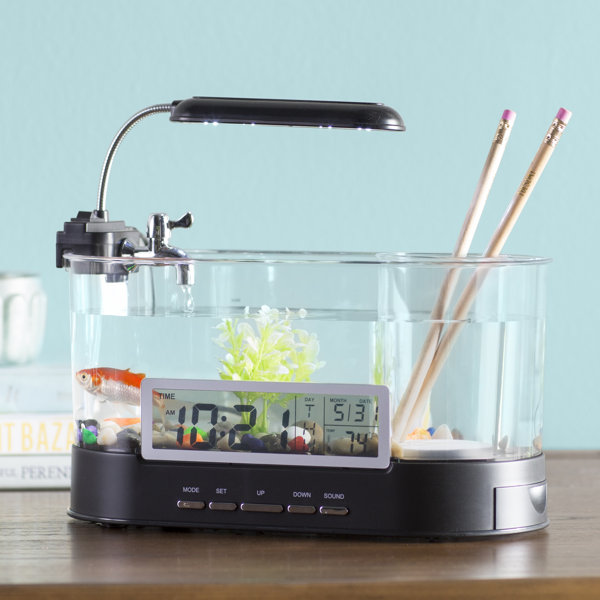 Beaudry 1.8 Gallons USB Desktop Aquarium Kit by Archie & Oscar