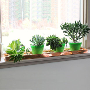 Window Sill Shelf Wayfair Ca Window Sill Shelf Wayfair Ca