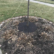 Backyard Expressions Patio Home Garden 913237 Rubber Mulch Tree Ring