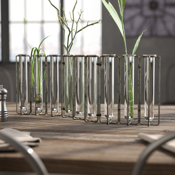 Test Tubes Wayfair