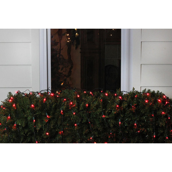 LED 150 Light Net Light by The Holiday Aisle