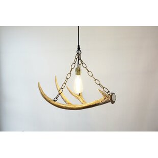 Deer Antler Pendant Light Wayfair