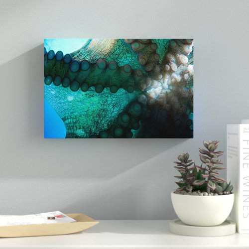 Day Octopus by David Fleetham - Wrapped Canvas Photograph Print East Urban Home Size: 101.6cm H x 152.4cm W x 5.08cm D