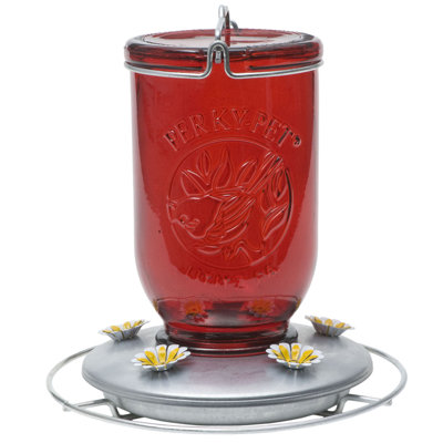 Mason Jar Hummingbird Feeder Perky Pet