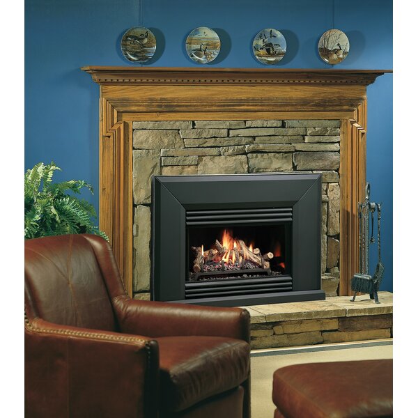 Direct Vent Natural Gas/Propane Fireplace Insert By Kingsman Fireplaces