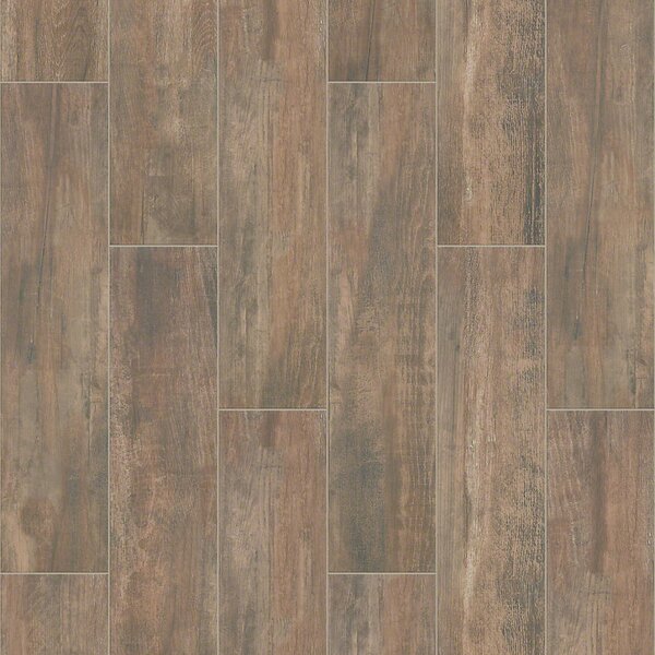 Celestial Plank 8 x 36 Ceramic Field Tile in Brown by Shaw Floors