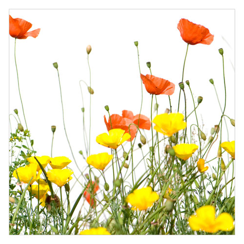 Wild Flowers 1.92m x 1.92m Textured Matte Peel & Stick Wall Mural East Urban Home