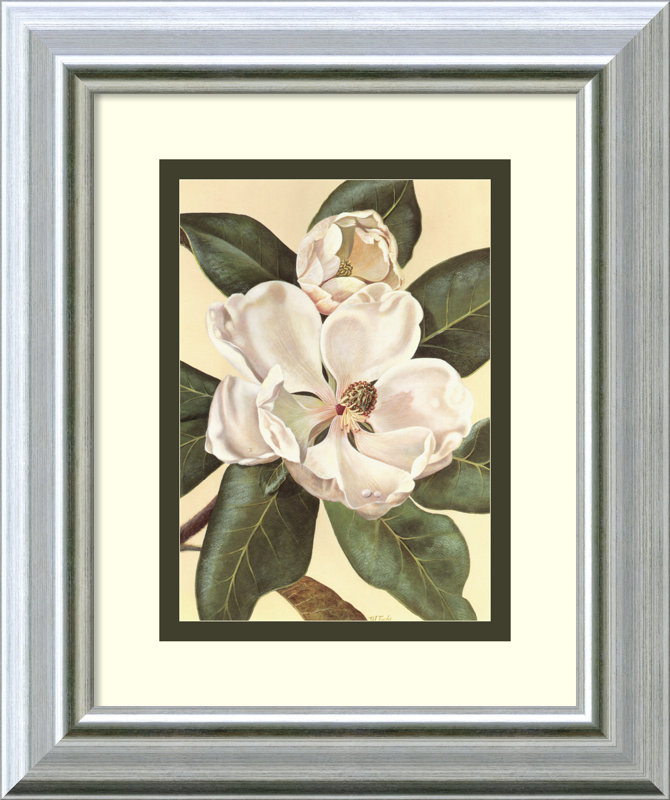 Three Posts "Afternoon Magnolia" Framed Print & Reviews Wayfair