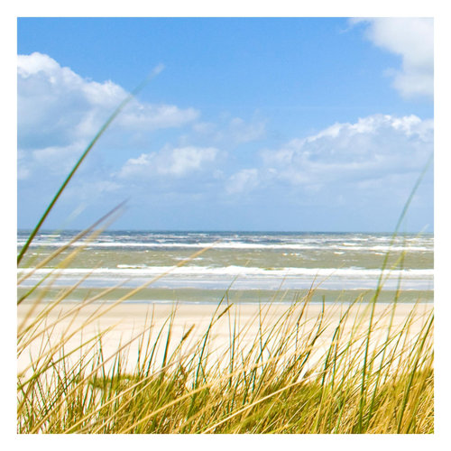 At the North Sea Coast 2.88m x 2.88m Textured Matte Peel & Stick Wall Mural East Urban Home