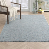 10 X 14 Outdoor Rugs Joss Main
