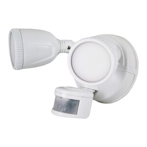 2-Light LED Spot Light