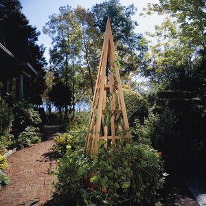 Pyramid Wood Obelisk Trellis