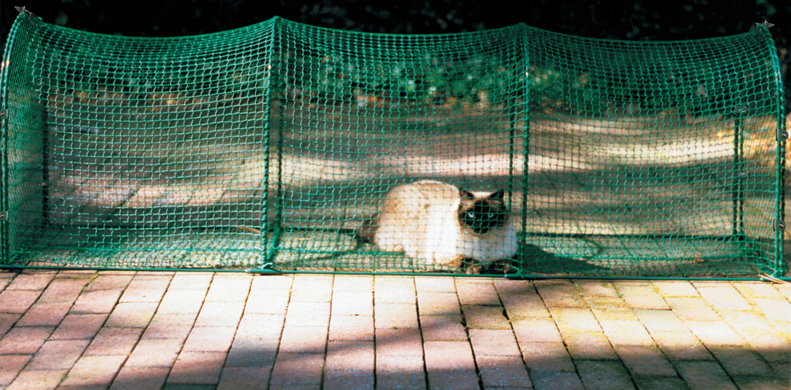 Kittywalk Systems Deck & Patio™ Outdoor Pet Play Pen & Reviews Wayfair.ca