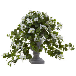Bougainvillea Arrangement in Urn