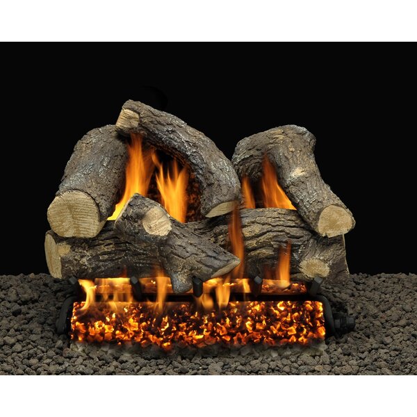 Somerset Blaze Vented Natural Gas/Propane Fireplace Log Set By American Gas Log