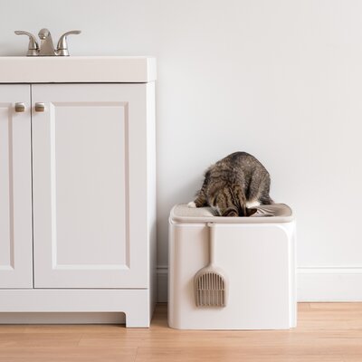 Litter Boxes & Enclosures Furniture | Pet | Wayfair 2020