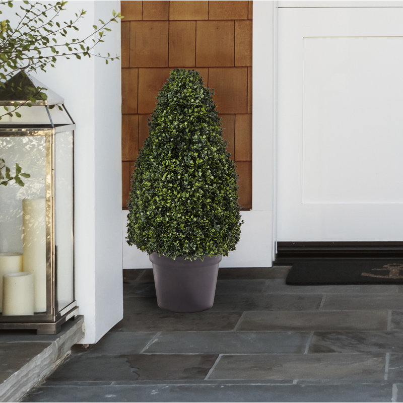 Pure Garden Artificial Boxwood Topiary in Planter