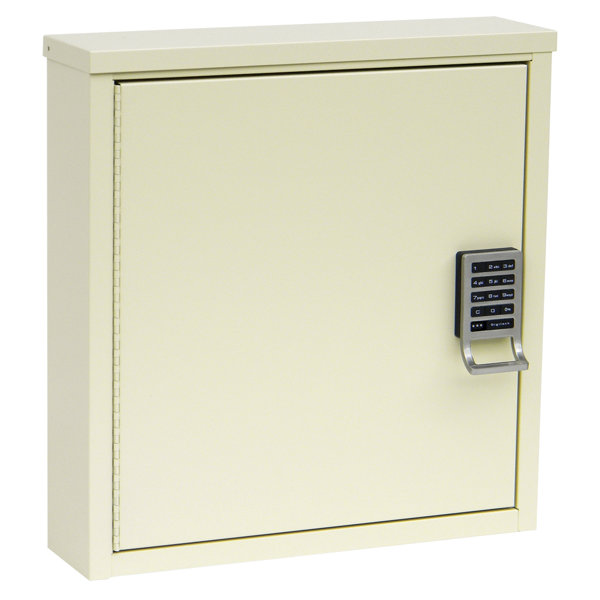 16 W x 16.75 H Wall Mounted Cabinet by Omnimed