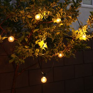 10 Light Globe String Light