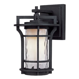 Feltonville 1-Light Outdoor Wall Lantern