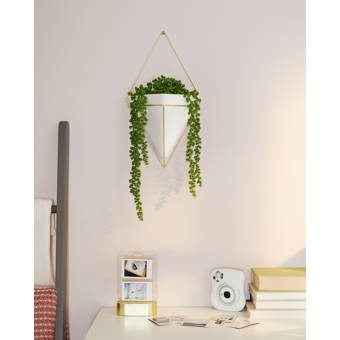 Wonderful World Wall Decor Reviews Joss Main