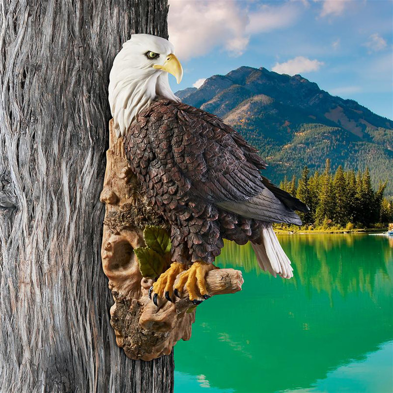 Design Toscano American Bald Eagle Bird Of Prey Wall Decor Wayfair