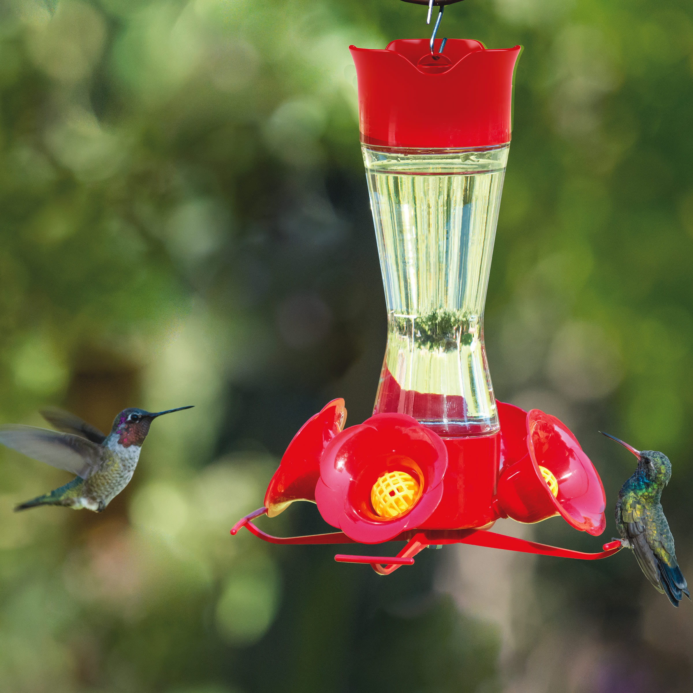 Perky Pet Pinch Waist Hummingbird Feeder Reviews Wayfair