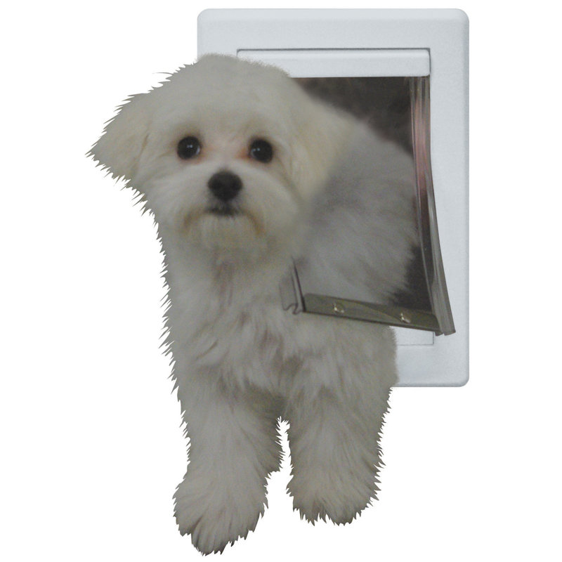 Tucker Murphy Pet Idlewild Thermoplastic Pet Door Reviews Wayfair