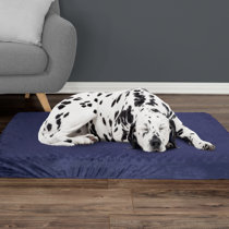 dog bed foam inserts