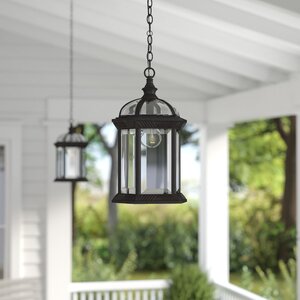 Sarah 1-Light Outdoor Hanging Lantern