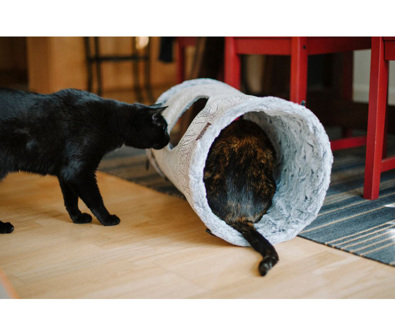Tucker Murphy Pet Hornsby 12 Purr And Pounce Cat Tunnel Wayfair
