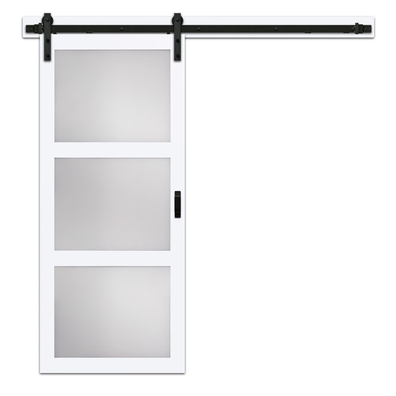 Erias Home Designs Continental Glass Barn Door With Installation