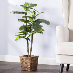 Artificial Trees You Ll Love Wayfair Mini Tree In Basket By Beachcrest Home