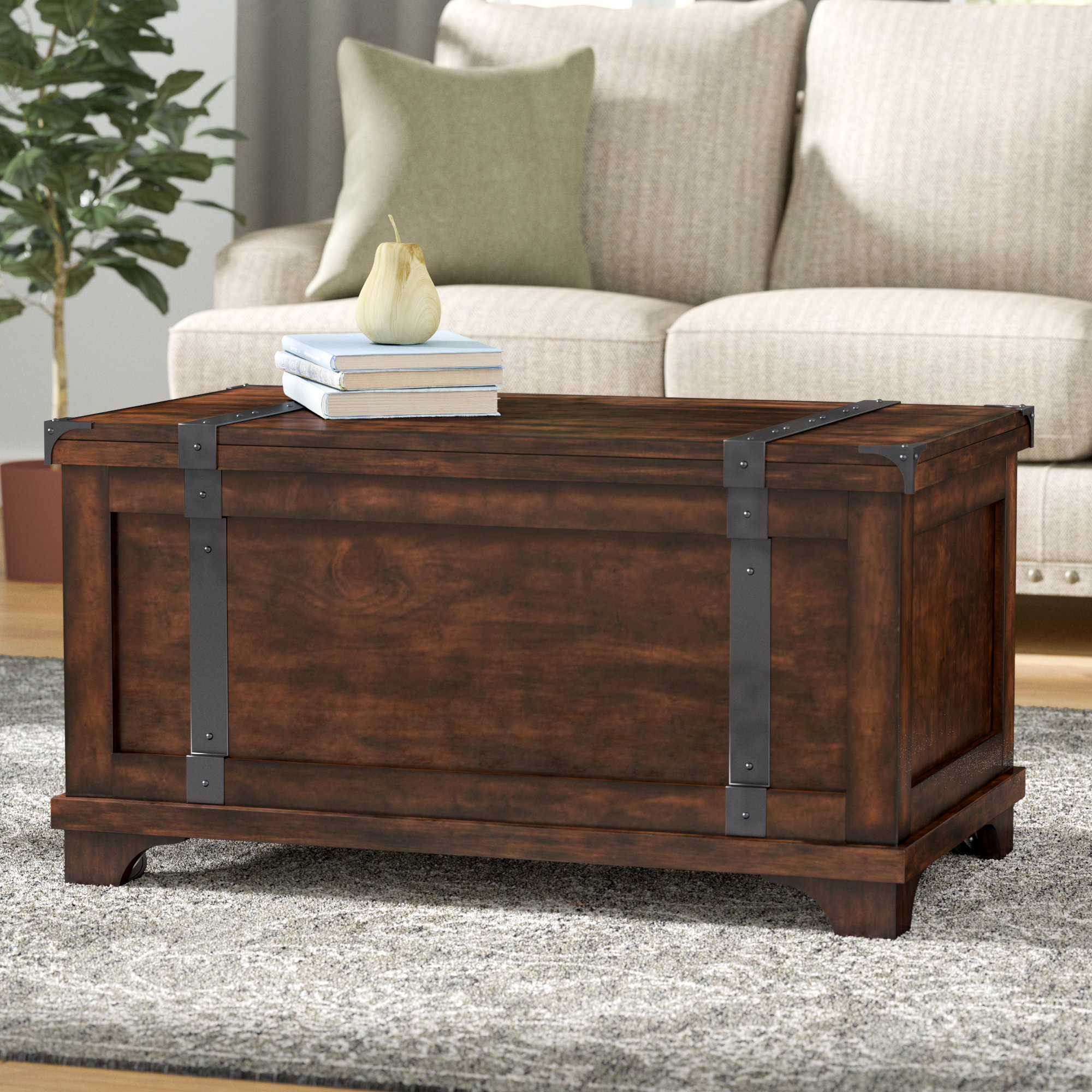 Trent Austin Design Hebbville Lift Top Coffee Table With Storage