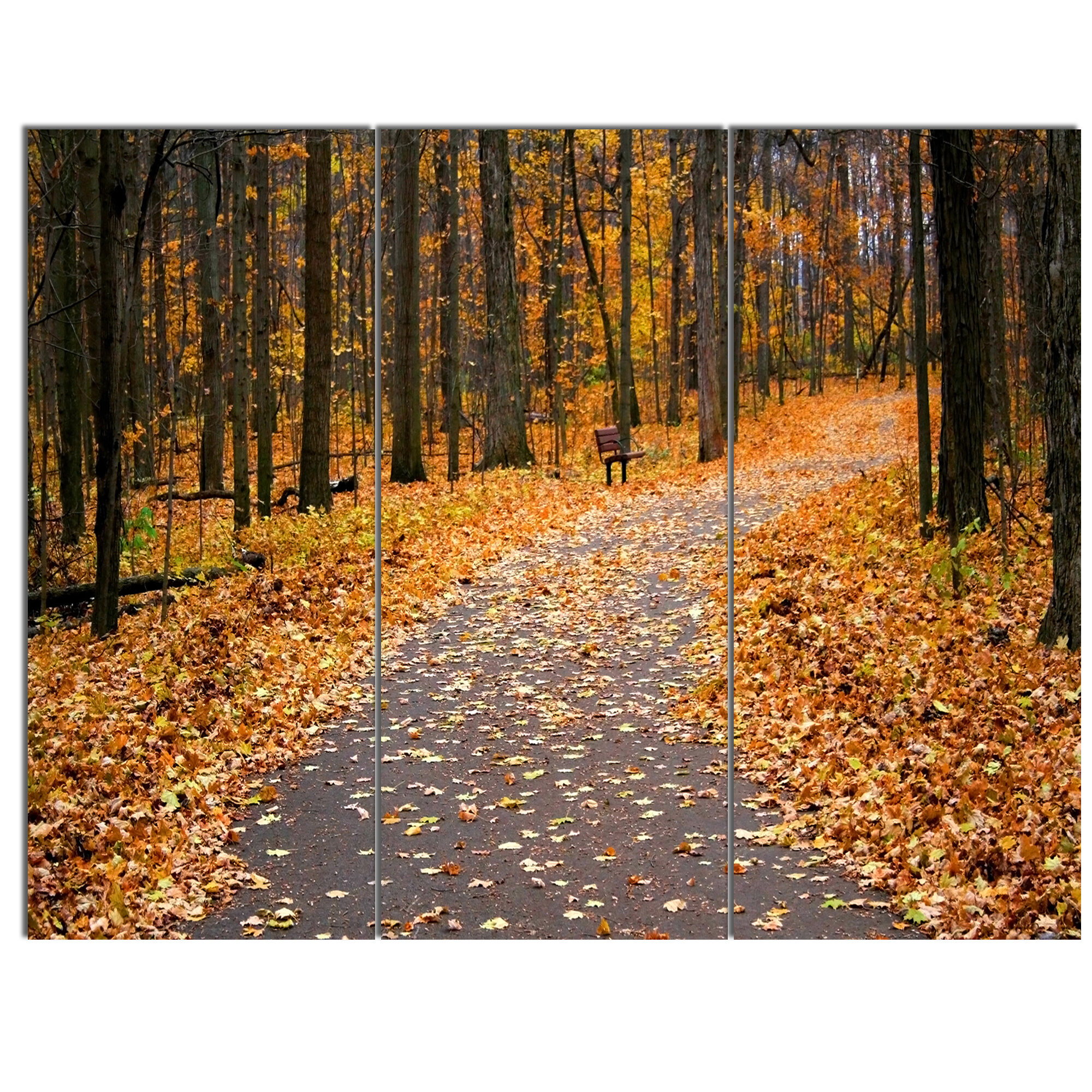 Designart Autumn Walk Way With Fallen Leaves 3 Piece Photographic Print On Metal Set Wayfair