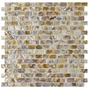 Abalone Shell Tile Wayfair S 1 X Seashell Mosaic Tile In Textured Natural Shell