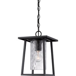 Bissonnette 1-Light Outdoor Hanging Lantern