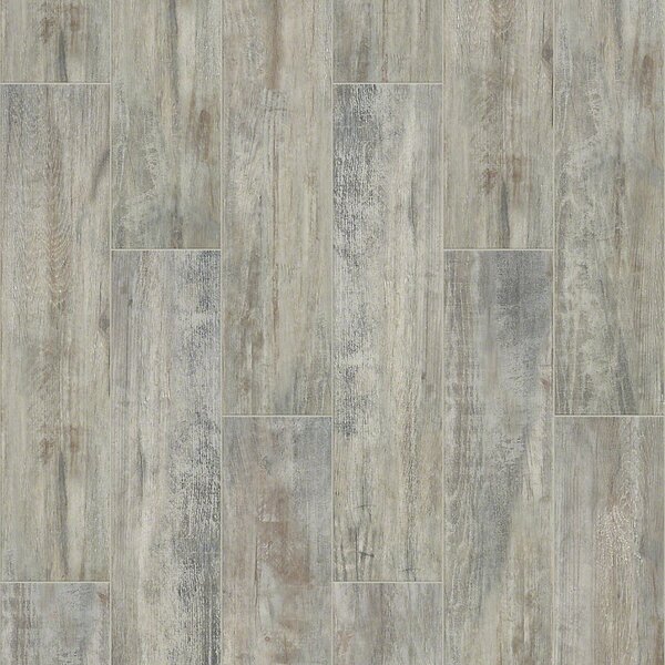 Celestial Plank 8 x 36 Ceramic Field Tile in Ash by Shaw Floors