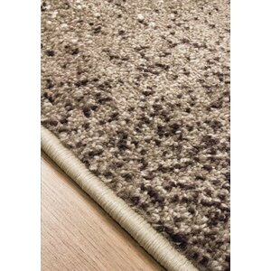 Britton Brown/Tan Area Rug