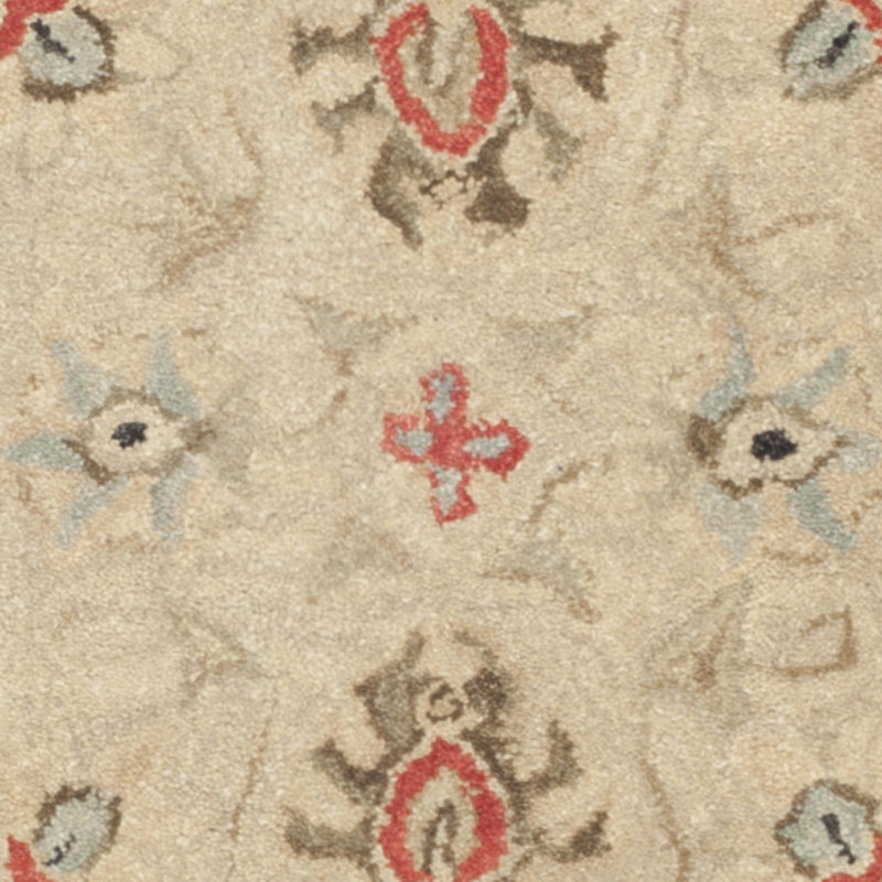 Safavieh Anatolia Natural/Soft Turquoise Area Rug & Reviews Wayfair