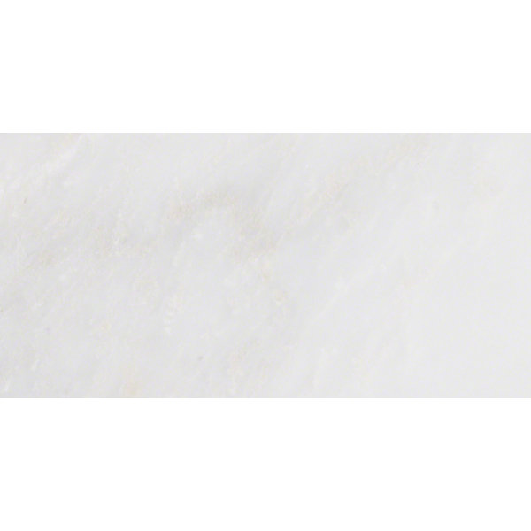Arabescato Carrara 6 x 12 Marble Field Tile in White by MSI