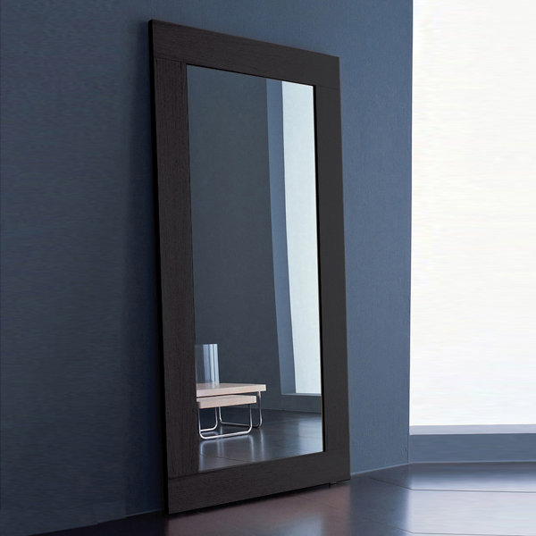 Modloft Norfolk Full Length Mirror & Reviews Wayfair