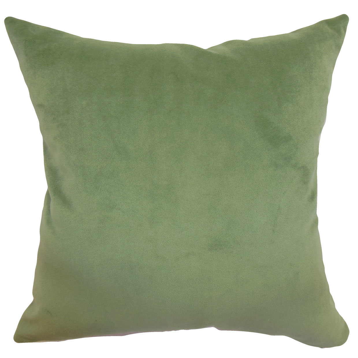 The Pillow Collection Generys Plain Velvet Throw Pillow Wayfair